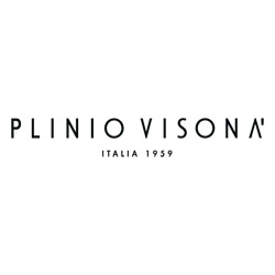 Pliniovisiona